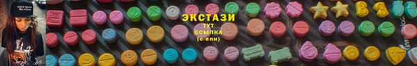 сатива Аркадак