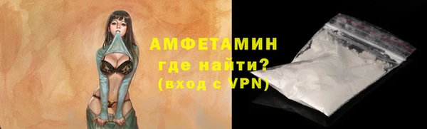 сатива Аркадак