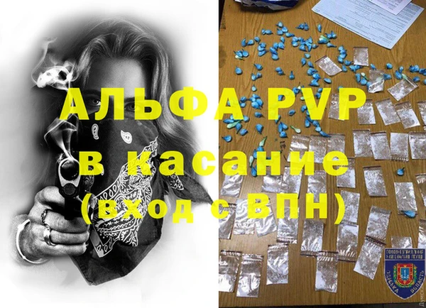 сатива Аркадак