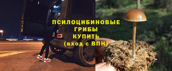 дурь Арсеньев