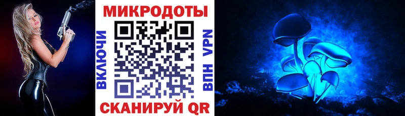 где можно купить наркотик  Нытва  Галлюциногенные грибы Psilocybine cubensis 